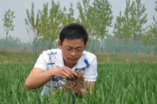 漯河青年 農業信息咨詢領域的閃亮新星